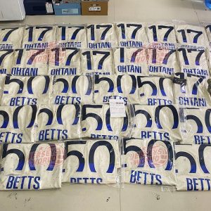 8713c42a-5ba2-4140-80fa-a8a75f40fb77